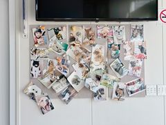 -芭比堂动物医院·CT·微创中心(新顺分院)