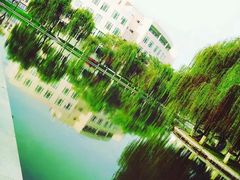 -成都大学-图书馆