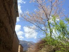 -萝卜寨羌文化生态旅游区