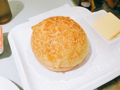 -南枝记