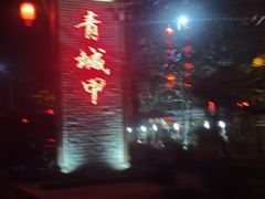 -青城甲(青城山店)