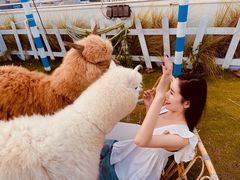 -Blue Concept Cafe&Farm·關於藍