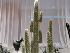 -悦海·家宴·冰花皮皮虾大锅贴(宝龙店)
