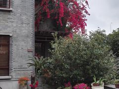 -小洲村