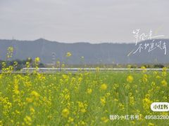-光明小镇欢乐田园