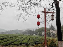 -中国茶叶博物馆(双峰馆区)