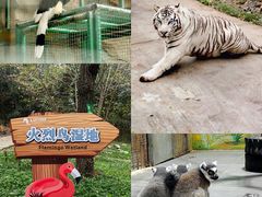 -西安秦岭野生动物园