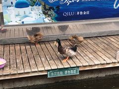 -泉乐坊步行街(烟酒特产平价超市店)