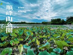 -顺峰山公园