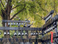 -千年银杏谷文化旅游区