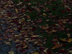 -新虹桥中心花园