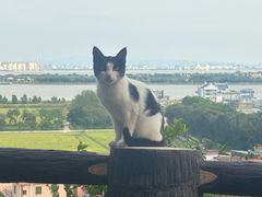 -广州莲花山旅游区
