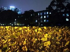 -四川大学(望江校区)