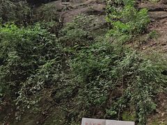-鸿山公园