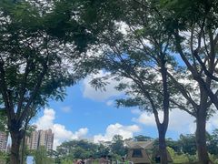 -白石龙音乐公园