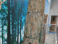 -延庆地质公园博物馆