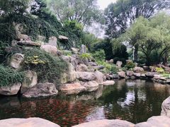 -中国唐苑