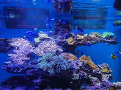 -上海海昌海洋公园