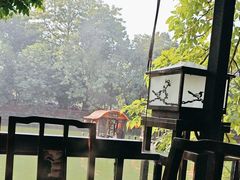 -侨美·唐荔园·40年地道粤菜