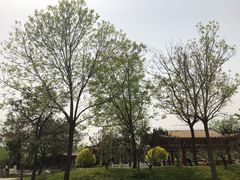 -武清南湖绿博园