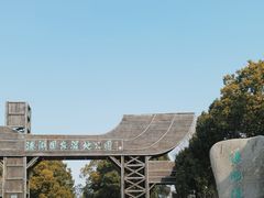 -溱湖国家湿地公园