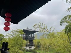 -大唐贡茶院