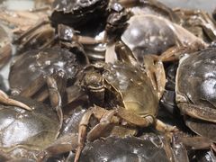 -一号桥自助火锅城(揽秀园西街店)