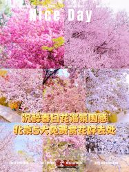 -北京润美玉之光医疗美容