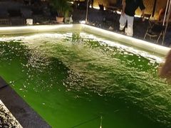 -DGE季风钓虾营地·团建·聚会