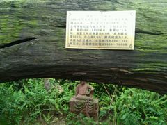 -四季御堂农家乐