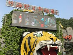 -栾川竹海野生动物园