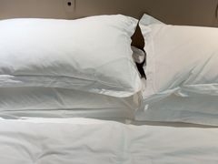 -禾尖S酒店(深圳大学店)