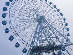 -秦皇岛乐岛海洋王国