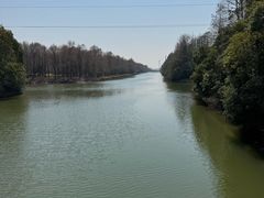 -上海海湾国家森林公园