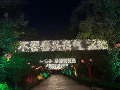 -大槐树寻根祭祖园