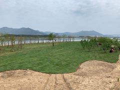 -福建鲤鱼洲酒店