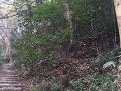 -西湖风景区十里琅珰-五云山