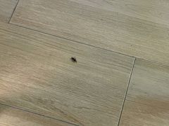 -新田360广场(上海华侨城店)