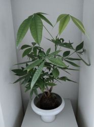 -颜蕾医美·黄金微针·水光·玻尿酸·超声炮·抗衰中心