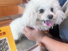 -帕帕拉兹宠物(亚洲旗舰店)