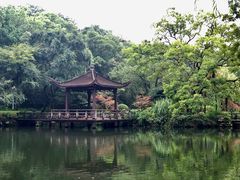 -浙江西子宾馆·牡丹厅