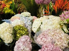 -双季花艺园艺市场(浦东店)