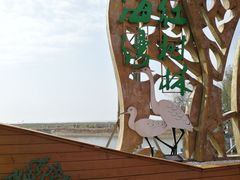 -北海金海湾红树林生态旅游区