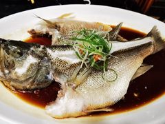 清蒸鲈鱼-大鸭梨烤鸭(甘家口店)
