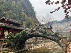 -车溪民俗旅游区