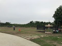 -秀丽东方