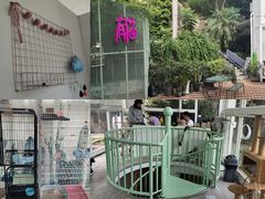 -有猫主题·治愈系猫咖(曾厝垵店)