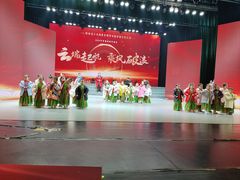 -陕西省小天鹅艺术团