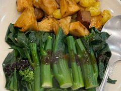 鲍鱼-大中鱼翅 Taitong Shark Fin