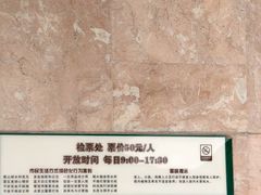 -南山植物园